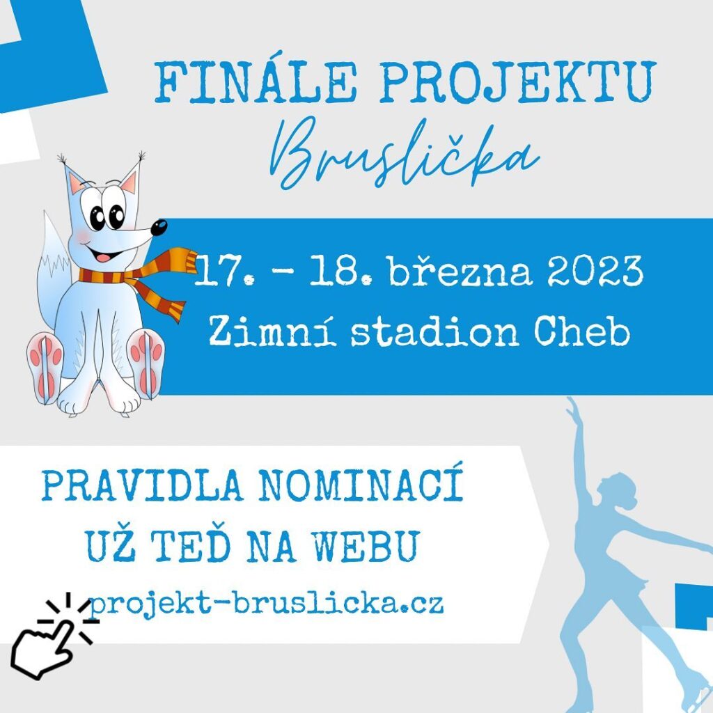 Finále projektu Bruslička